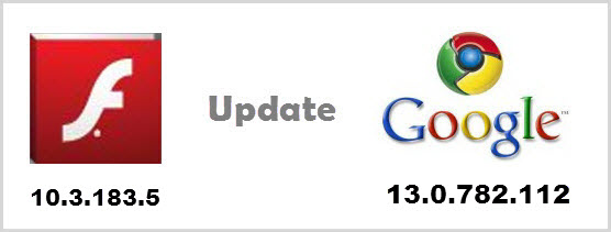Google Chrome Flash Player