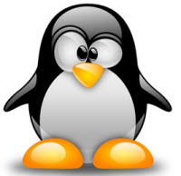 10 Best Linux Distributions
