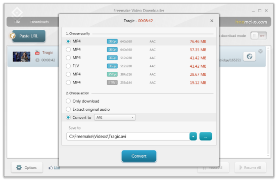 freemake-video-downloader-2