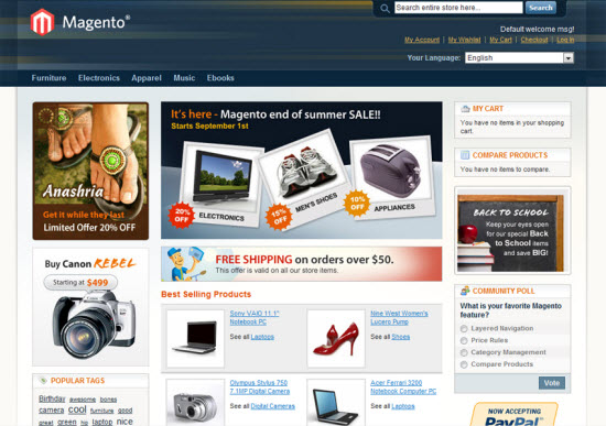 Why Magento is Mostly Used e-Commerce Application?